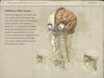 Leonardo da Vinci: Anatomy for the iPad