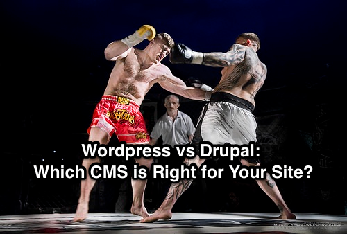 wordpress vs drupal cms