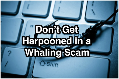 Don’t Get Harpooned in a Whaling Scam