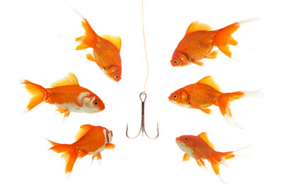 link bait goldfish