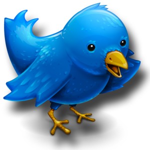 twitter bird